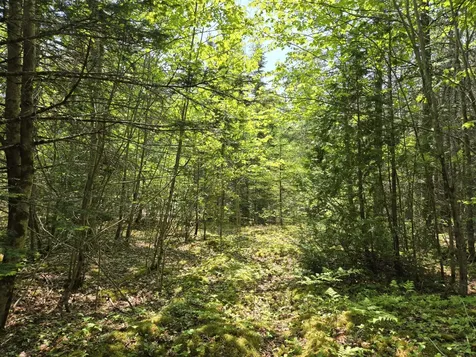 0 Map Wa032 Plan 01 Lot 103.1 Trescott Twp ME 04652