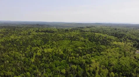 0 Map Wa032 Plan 01 Lot 103.1 Trescott Twp ME 04652