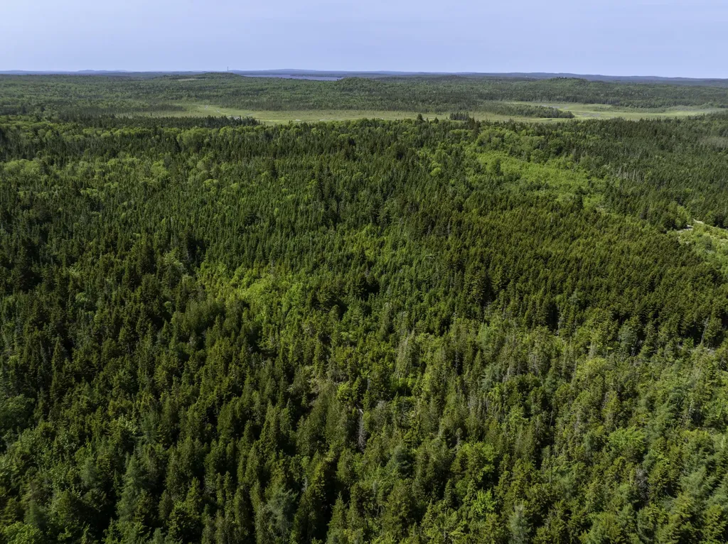 Map 1 Lot 9 Cutler Road Whiting ME 04691