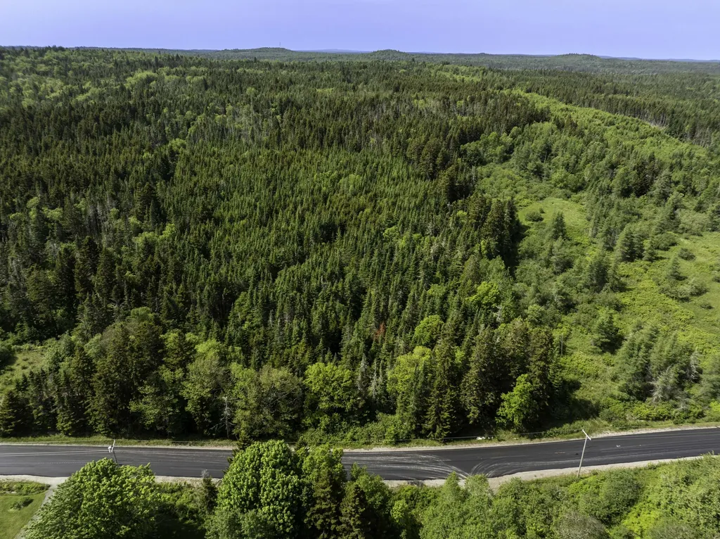 Map 1 Lot 9 Cutler Road Whiting ME 04691