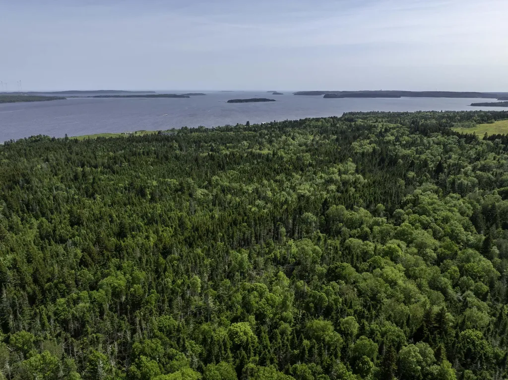 Map 1 Lot 9 Cutler Road Whiting ME 04691