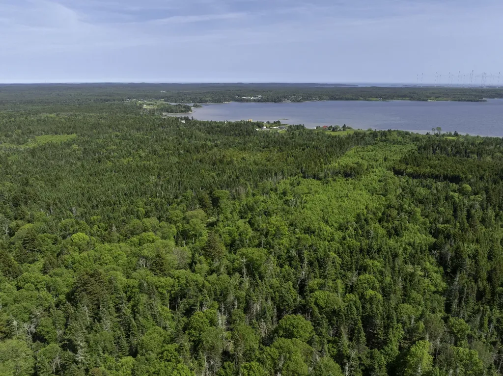 Map 1 Lot 9 Cutler Road Whiting ME 04691