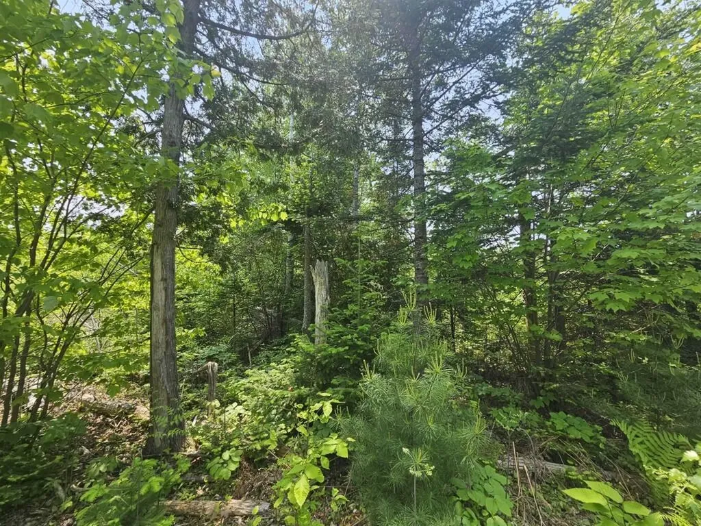 2016 2016 Hudson Road Hudson ME 04449
