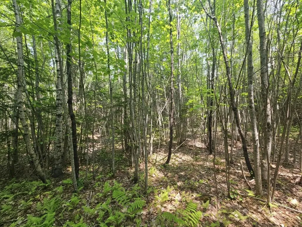 2016 2016 Hudson Road Hudson ME 04449