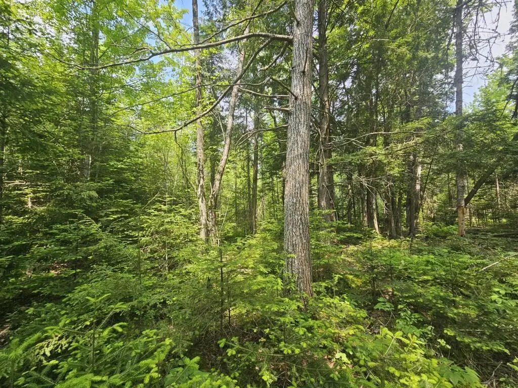 2016 2016 Hudson Road Hudson ME 04449