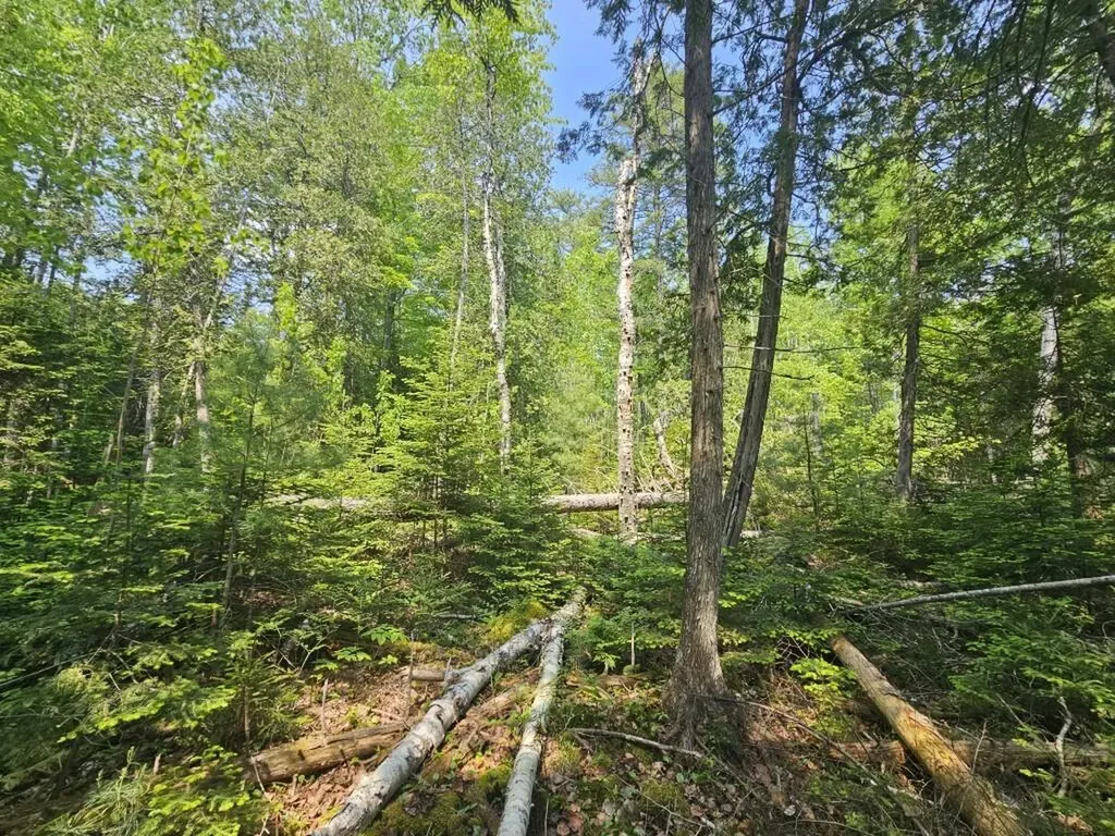 2016 2016 Hudson Road Hudson ME 04449