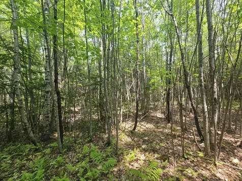 2016 2016 Hudson Road Hudson ME 04449