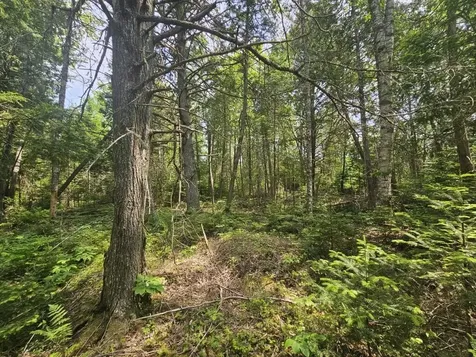 2016 2016 Hudson Road Hudson ME 04449