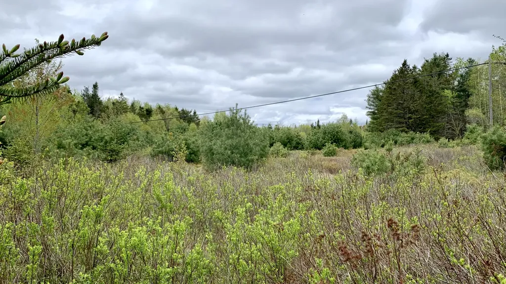 191 Route 191 N Route Cathance Twp ME 04630