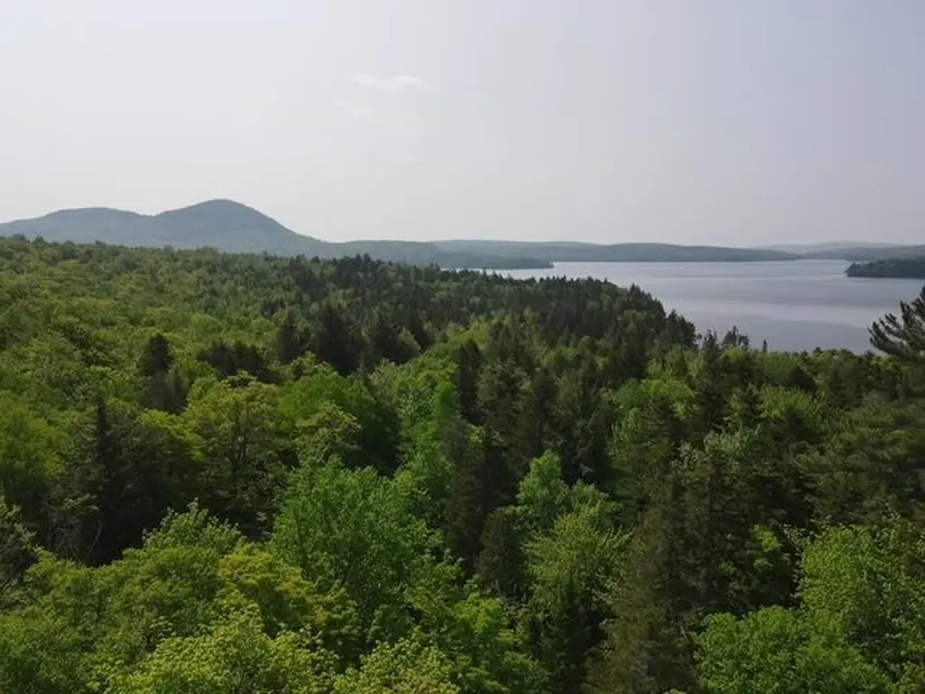 Lot 1 Scammon Road Greenville ME 04441