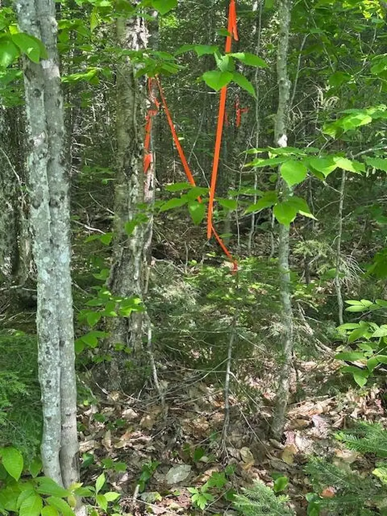 Lot 1 Scammon Road Greenville ME 04441