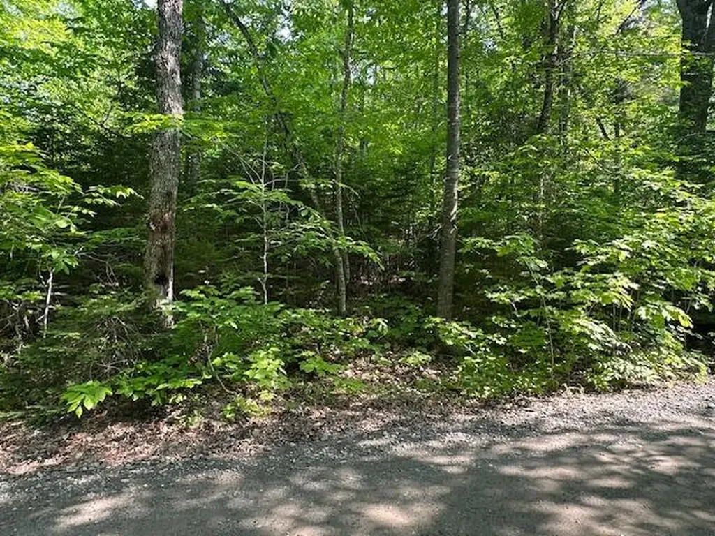 Lot 1 Scammon Road Greenville ME 04441