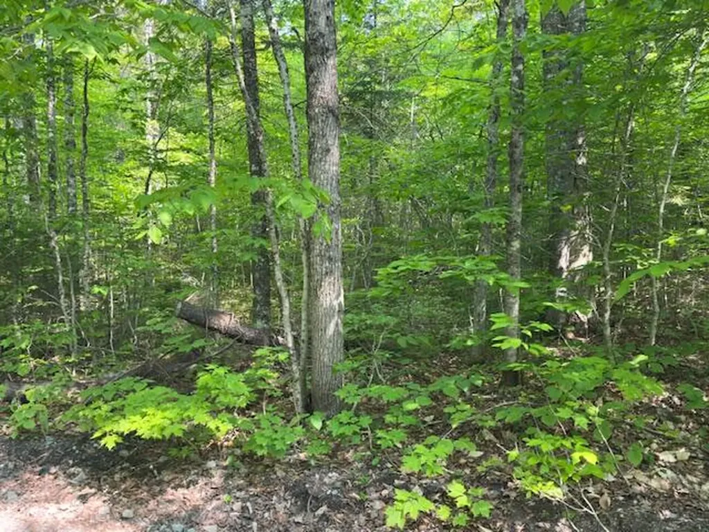 Lot 1 Scammon Road Greenville ME 04441