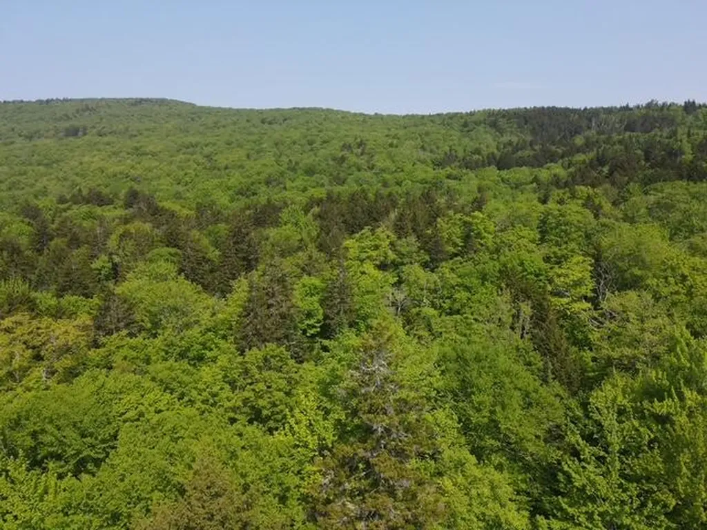 Lot 1 Scammon Road Greenville ME 04441