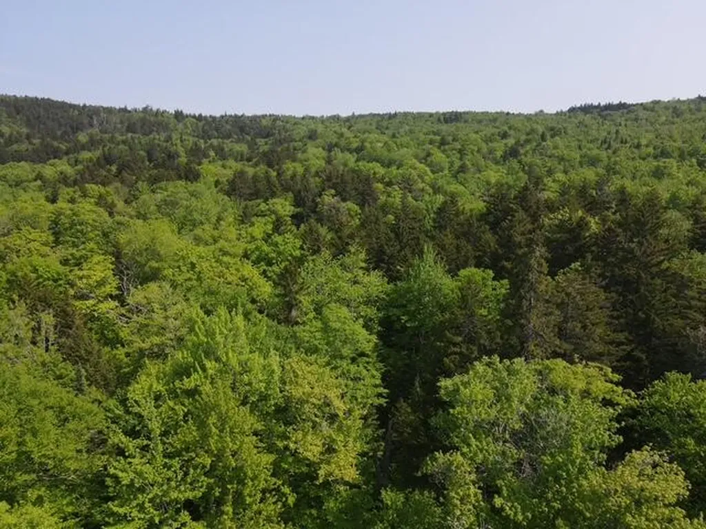 Lot 1 Scammon Road Greenville ME 04441
