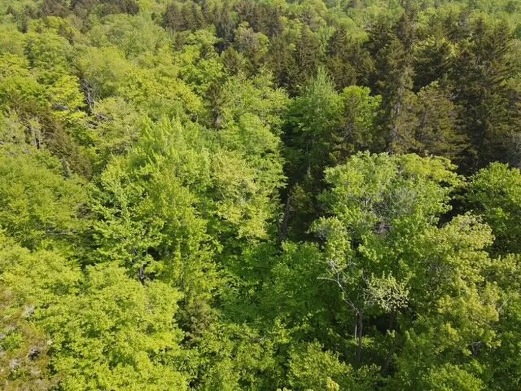 Lot 1 Scammon Road Greenville ME 04441