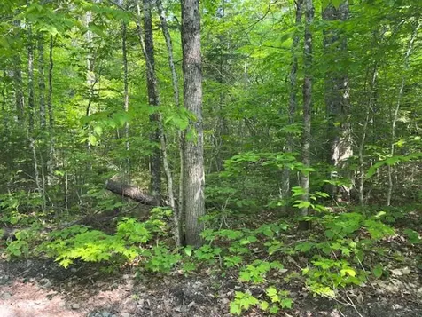 Lot 1 Scammon Road Greenville ME 04441