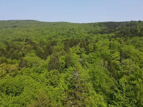 Lot 1 Scammon Road Greenville ME 04441