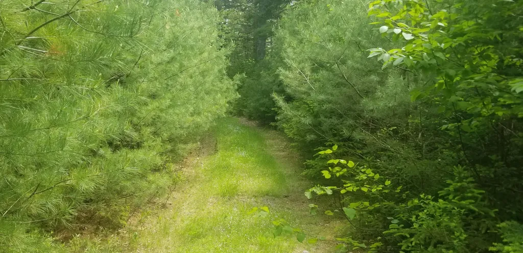 M13, L36, Harland Cunningham Road Penobscot ME 04476