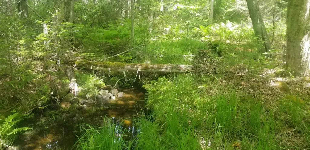 M13, L36, Harland Cunningham Road Penobscot ME 04476