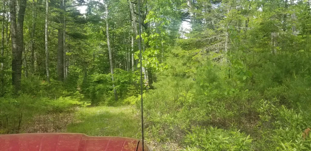 M13, L36, Harland Cunningham Road Penobscot ME 04476
