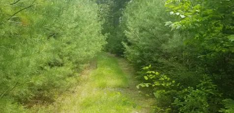 M13, L36, Harland Cunningham Road Penobscot ME 04476