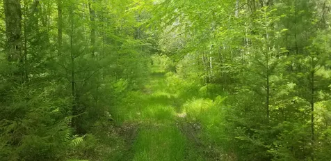M13, L36, Harland Cunningham Road Penobscot ME 04476