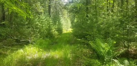 M13, L36, Harland Cunningham Road Penobscot ME 04476