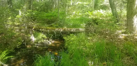M13, L36, Harland Cunningham Road Penobscot ME 04476