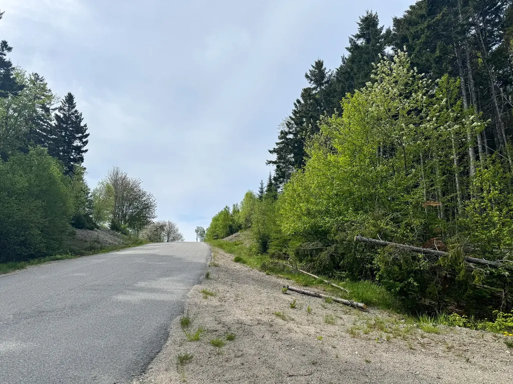 37 Corn Hill Road Machiasport ME 04655