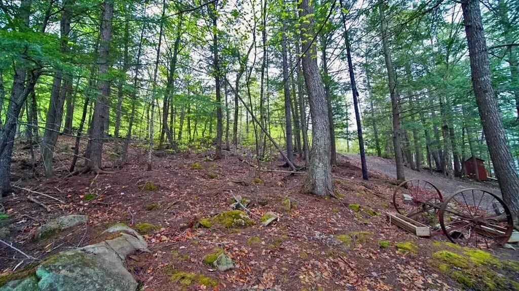 101 S South Shore Road Linneus ME 04730
