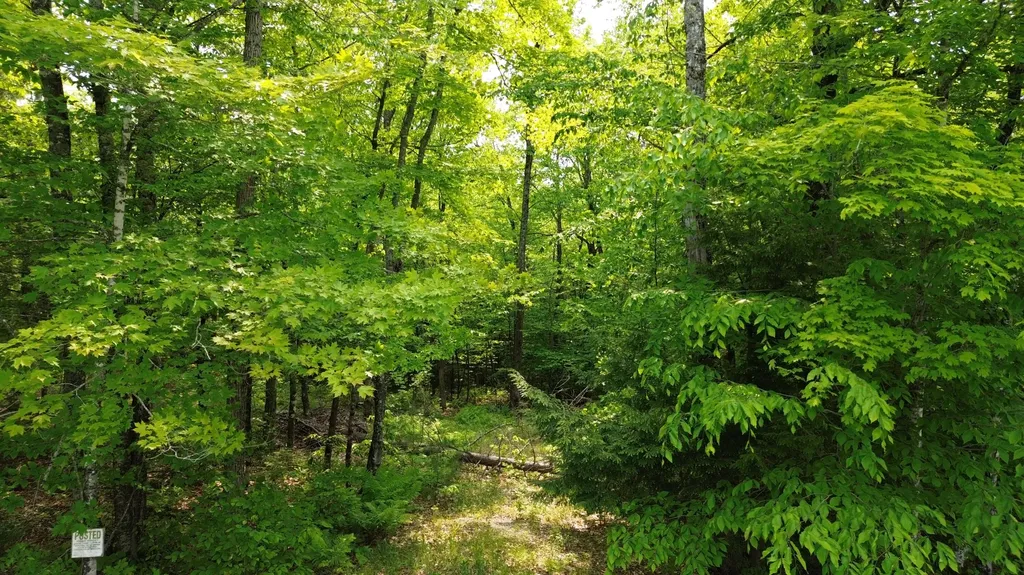 121 Parkman Hill Road Solon ME 04979