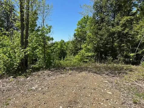 Lot 6 Mt. Jefferson Heights Lee ME 04455