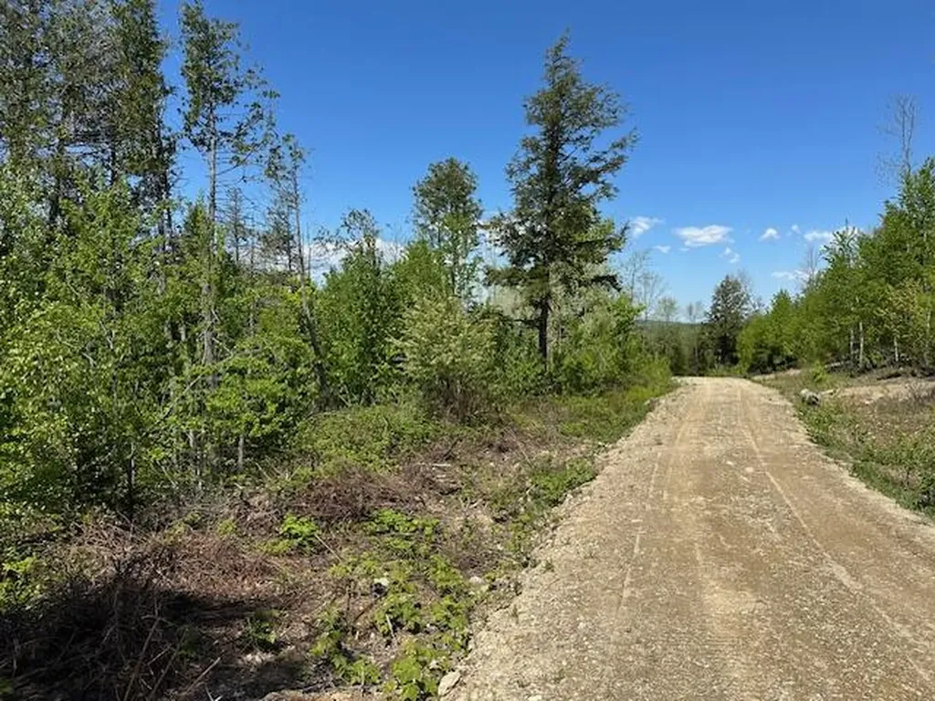Lot 11 Mount Jefferson Heights Lee ME 04455