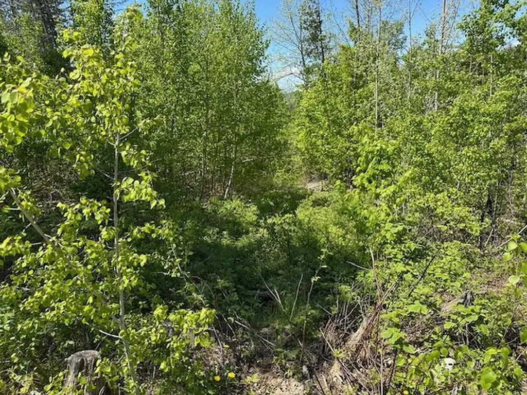 Lot 11 Mount Jefferson Heights Lee ME 04455