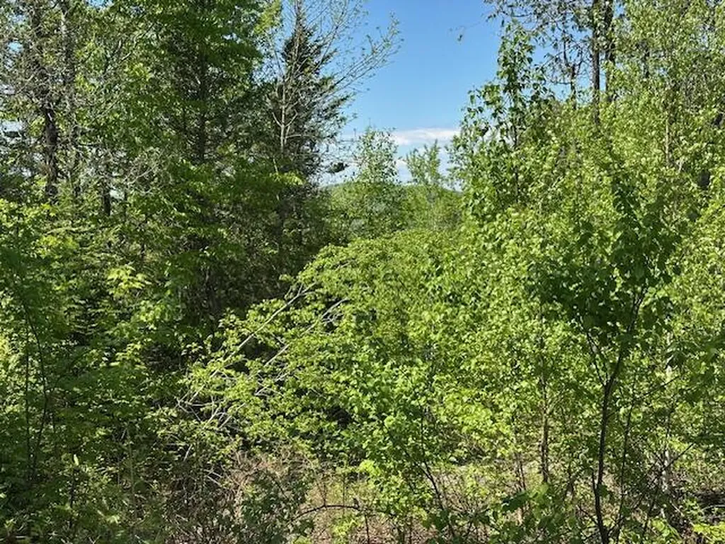 Lot 11 Mount Jefferson Heights Lee ME 04455