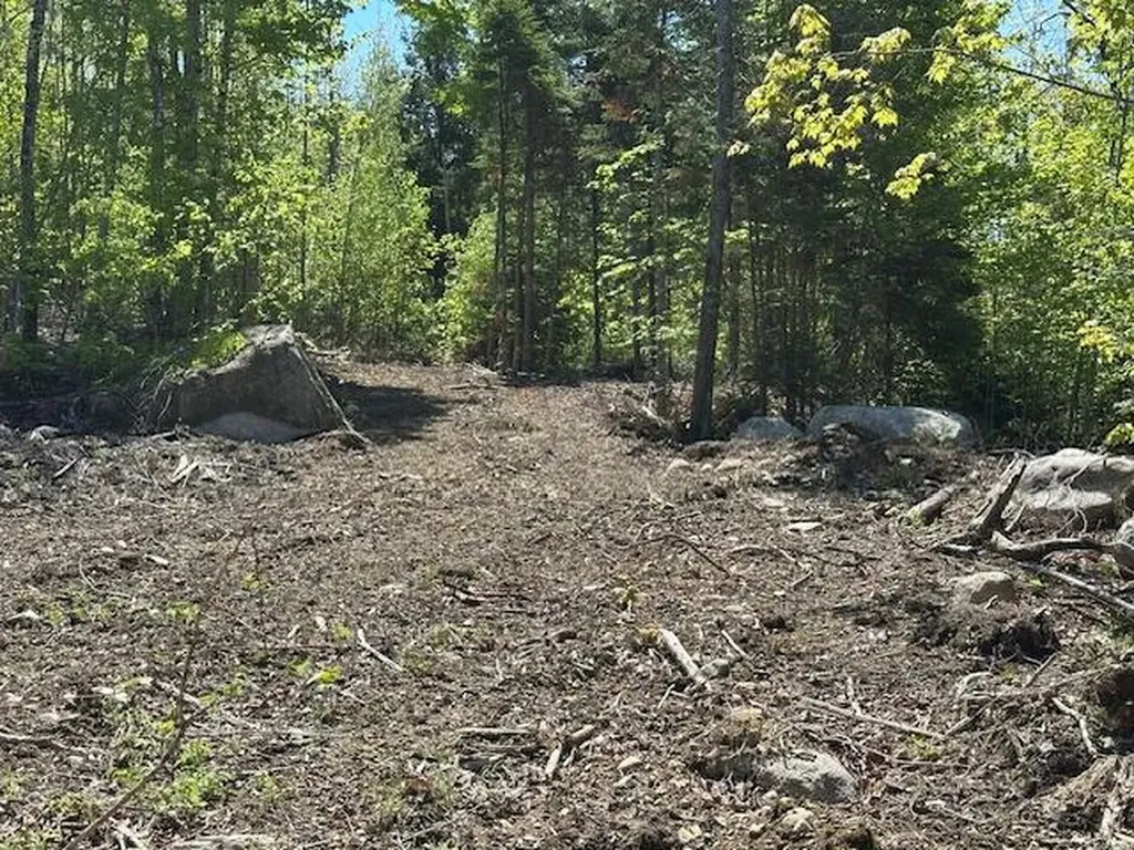Lot 10 Mount Jefferson Heights Lee ME 04455