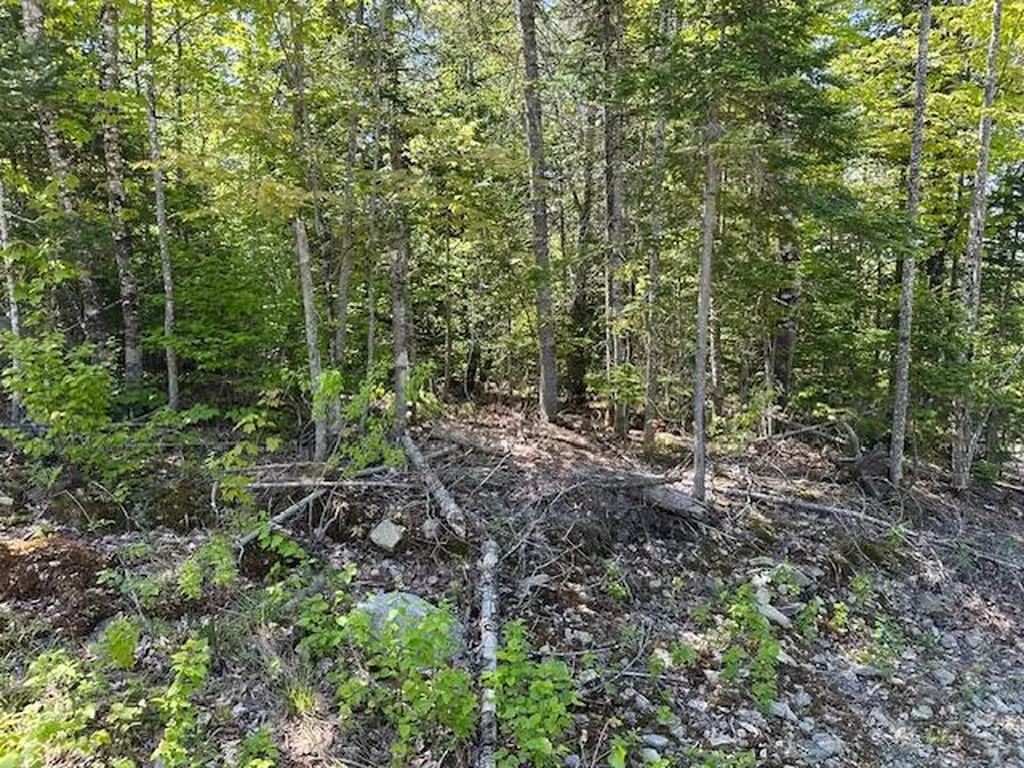 Lot 10 Mount Jefferson Heights Lee ME 04455