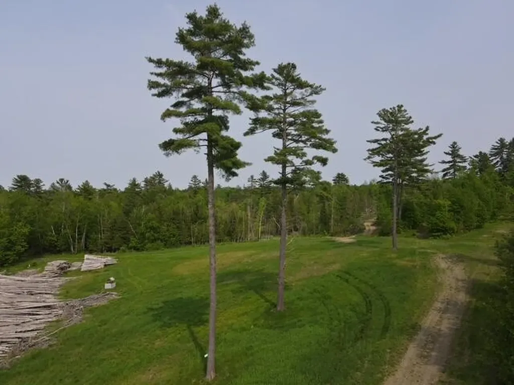 Lot 10 Mount Jefferson Heights Lee ME 04455