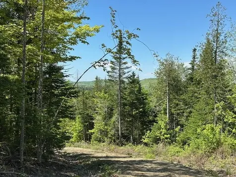 Lot 10 Mount Jefferson Heights Lee ME 04455