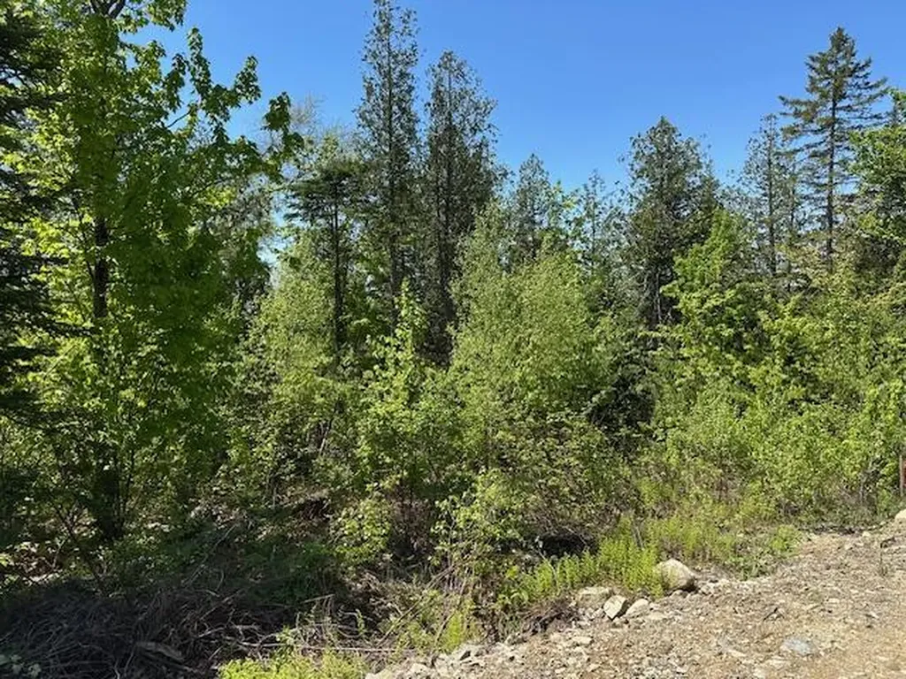 Lot 12 Mount Jefferson Heights Lee ME 04455