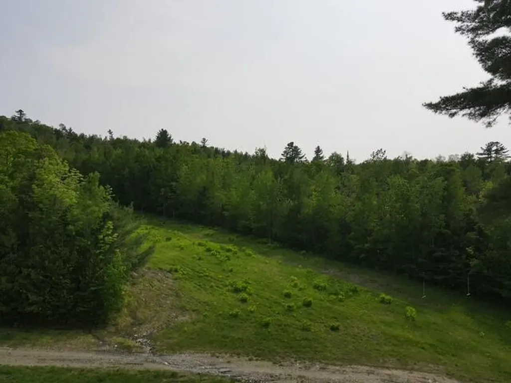 Lot 12 Mt. Jefferson Heights Lee ME 04455