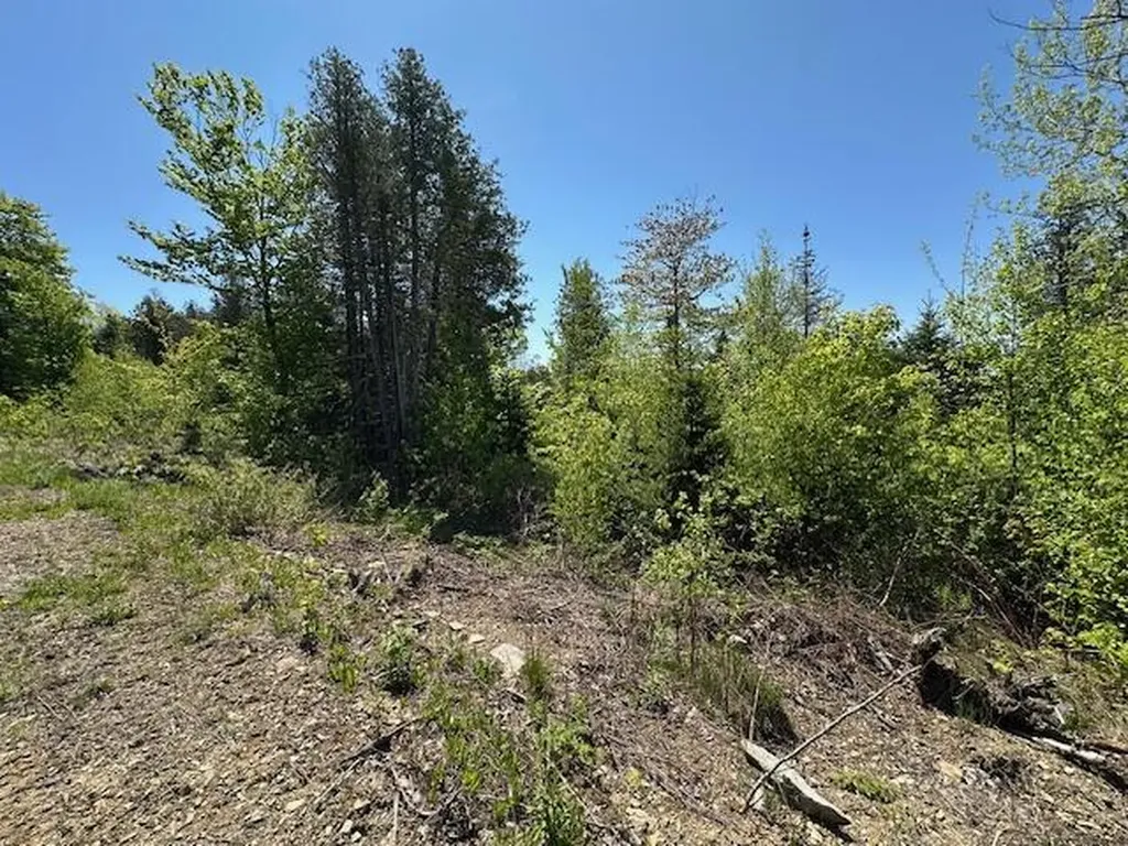 Lot 12 Mt. Jefferson Heights Lee ME 04455