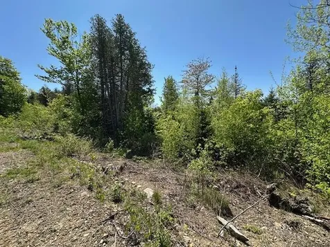 Lot 12 Mount Jefferson Heights Lee ME 04455