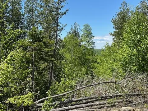 Lot 12 Mount Jefferson Heights Lee ME 04455