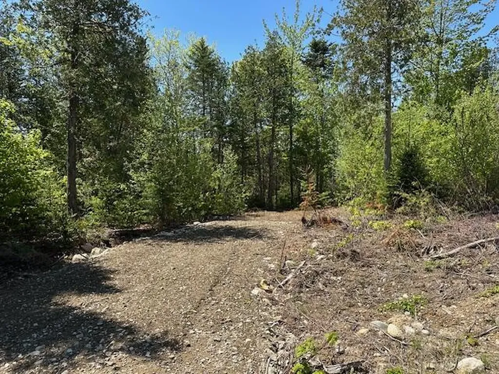 Lot 13 Mount Jefferson Heights Lee ME 04455