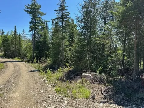 Lot 13 Mount Jefferson Heights Lee ME 04455