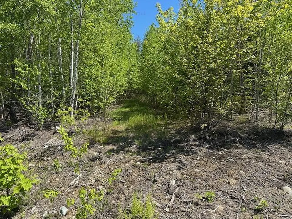 Lot 4 Mount Jefferson Heights Lee ME 04455