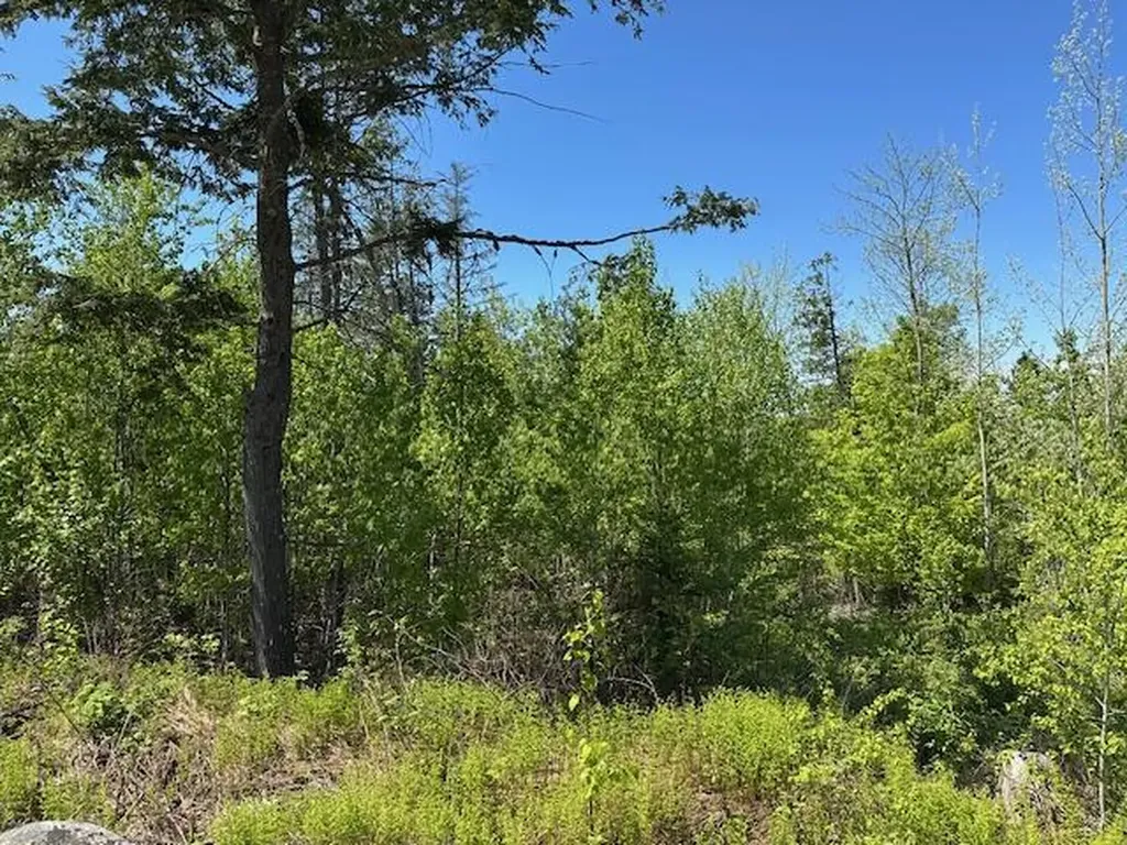 Lot 4 Mount Jefferson Heights Lee ME 04455