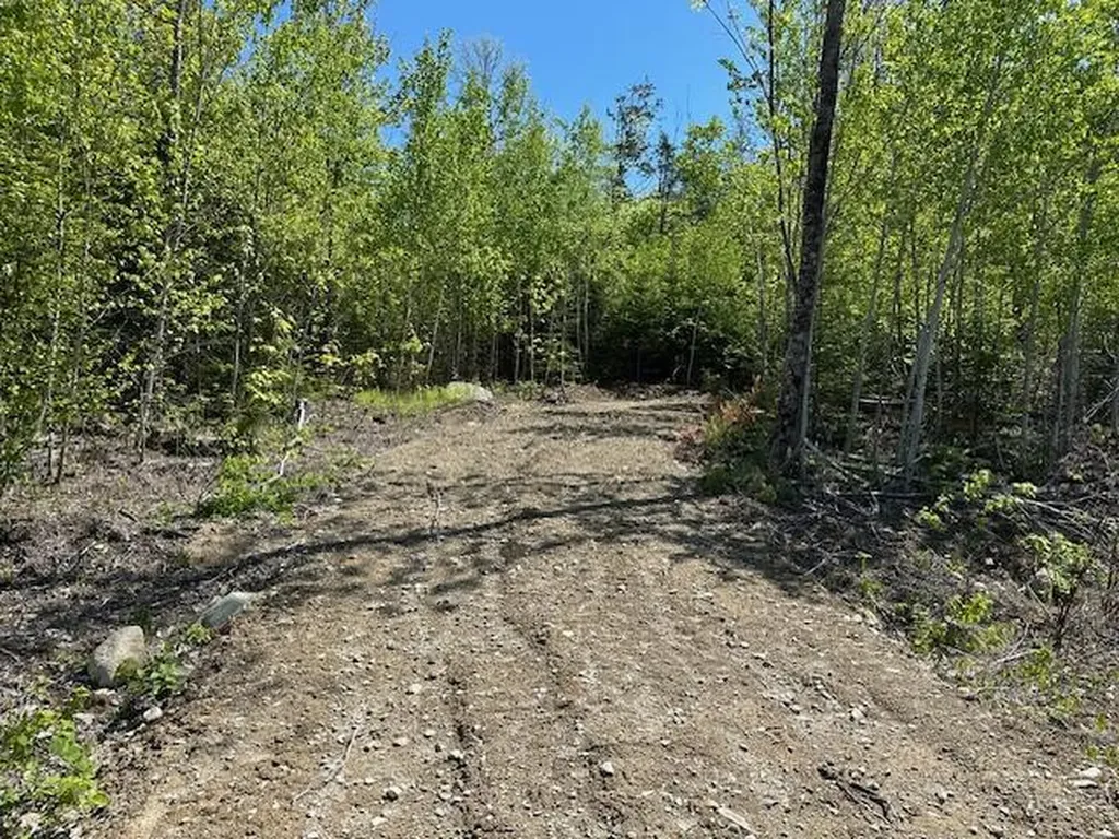 Lot 4 Mount Jefferson Heights Lee ME 04455
